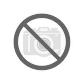 BERNARDO Holz Papierschleifband 200 x 50000 - K 60